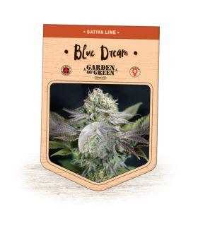 Blue Dream (Garden of Green)