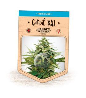 Critical XXL (Garden of Green)