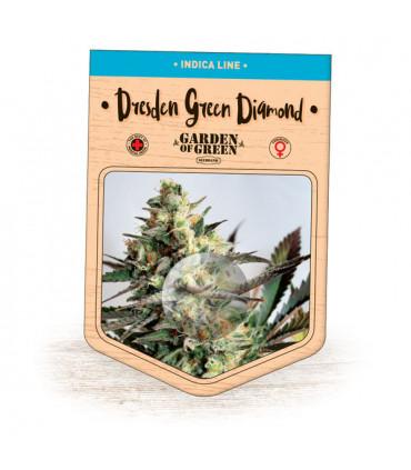 Dresden Green Diamond (Garden of Green)