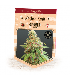 Kosher Kush (Garden of Green)