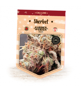 Sherbet (Garden of Green)
