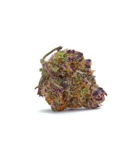 Purple Kush τριμηνίτικο (σποραδικο)