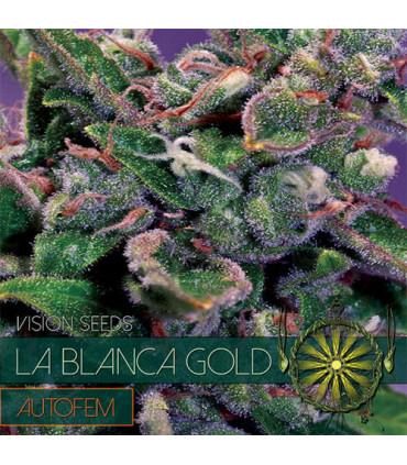 La Blanca Gold AutoFem (Vision Seeds)
