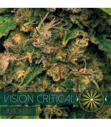 Vision Critical AutoFem (Vision Seeds)