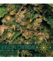 Vision Critical AutoFem (Vision Seeds)
