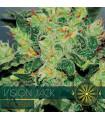 Vision Jack AutoFem (Vision Seeds)