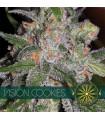 Vision Cookies (Vision Seeds)