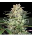 Afghan Kush Ryder (World Of Seeds)