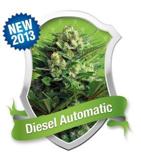 Diesel Automatic (Royal Queen Seeds)