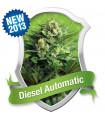 Diesel Automatic (Royal Queen Seeds)