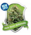 Royal Jack Automatic (Royal Queen Seeds)
