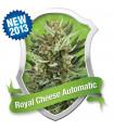 Royal Cheese Automatic (Royal Queen Seeds)