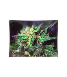 V-SYNDICATE GLASS TRAY SMALL-"BLUE DANK"