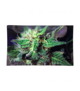 V-SYNDICATE GLASS TRAY LARGE-"BLUE DANK"