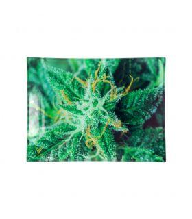 V-SYNDICATE GLASS TRAY SMALL-"AK 47"