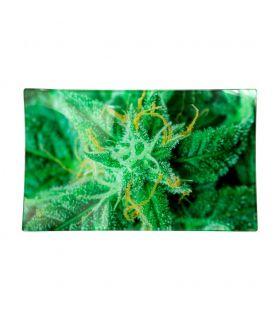 V-SYNDICATE GLASS TRAY LARGE-"AK 47"