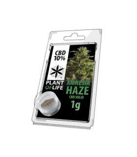 Plant of Life- CBD Solid 10% Amnesia Hase