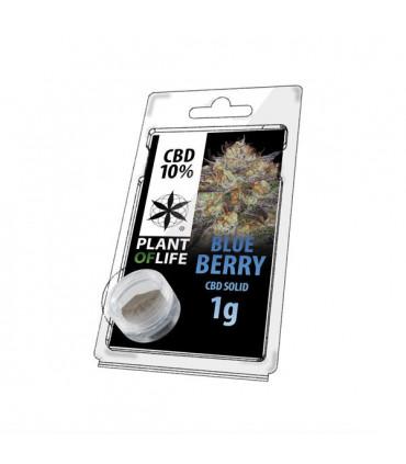 Plant of Life- CBD Solid 10% Blueberry