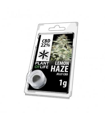 Plant of Life - CBD Jelly 22% Lemon Haze