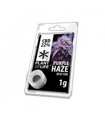 Plant of Life - CBD Jelly 22% Purple Haze