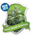 Sweet Skunk Automatic (Royal Queen Seeds)