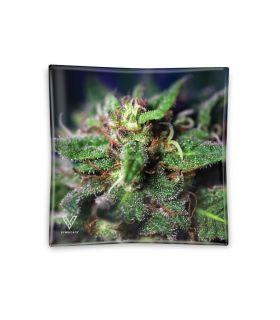 Γυάλινο τασάκι Blue Dream