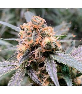 Wedding Cake close up @sporadiko.gr