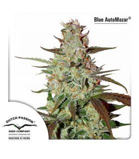 Blue AutoMazar