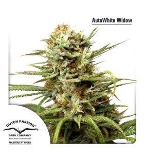 AutoWhite Widow