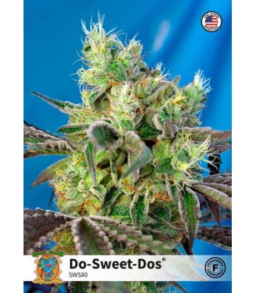 Do-Sweet-Dosby Sweet Seeds @sporadiko.gr