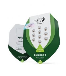 Epsilon F1 Auto (Royal Queen Seeds)