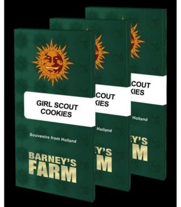 σπόροι κάνναβης Girl Scout Cookies απο Barney's Farm @sporadiko.gr