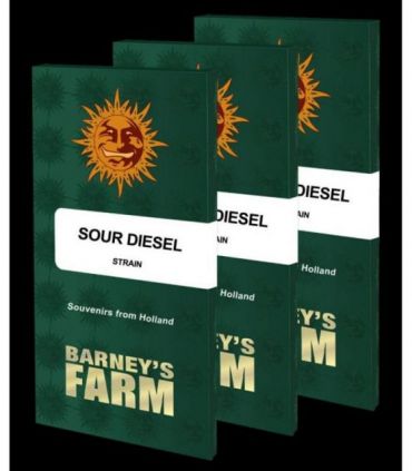 σπόροι κάνναβης Sour Diesel απο Barney's Farm @sporadiko.gr