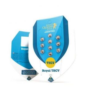 Royal THCV (Royal Queen Seeds)
