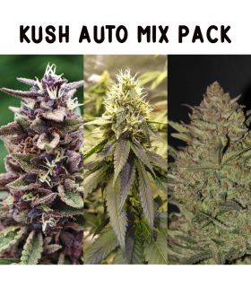 Kush Mix 3x3 Τριμηνίτικο