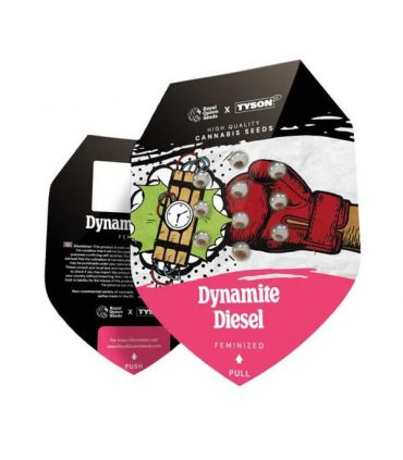 σπόροι κάνναβης Dynamite Diesel απο τη Royal Queen Seeds - Tyson Series