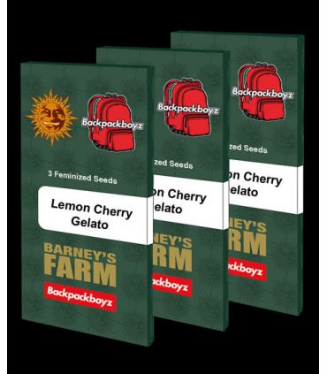 σπόροι κάνναβης Lemon Cherry Gelato απο Barney's Farm - @sporadiko.gr