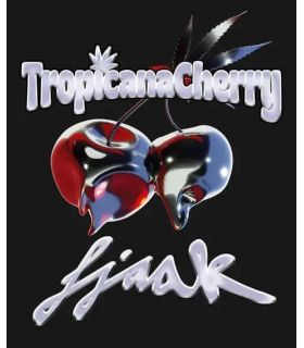 Tropicana Cherry - Barney's Farm σπόροι κάνναβης σποράδικο.gr