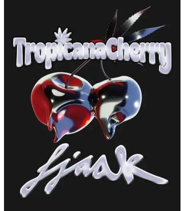 Tropicana Cherry - Barney's Farm σπόροι κάνναβης σποράδικο.gr