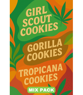 Cookies Mix 3x3 Τριμηνίτικο - Mix pack 9 σπόροι αυτόματης άνθισης