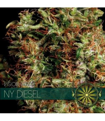 NY Diesel (Vision Seeds)