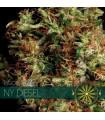 NY Diesel (Vision Seeds)