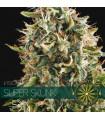 Super Skunk (Vision Seeds)