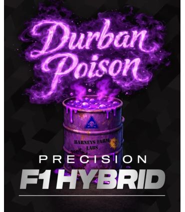 Durban Poison - Barney's Farm