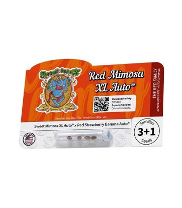 Red Mimosa XL Auto Sweet Seeds - Αυτόματοι Σπόροι Κάνναβης