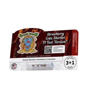 Strawberry Cola Sherbet F1 Fast Version Sweet Seeds - Σπόροι Κάνναβης Γρήγορης Άνθοφορίας