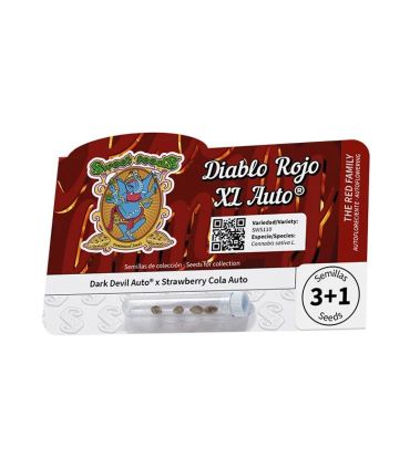 Diablo Rojo XL Auto Sweet Seeds - Αυτόματοι Σπόροι Κάνναβης