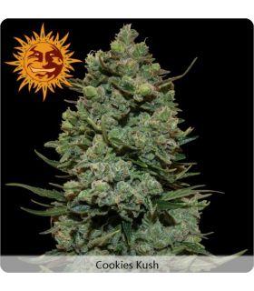 Cookies Kush (Barney's Farm)