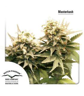 Masterkush