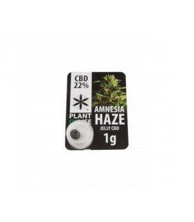 Amnesia Haze CBD Jelly 22%